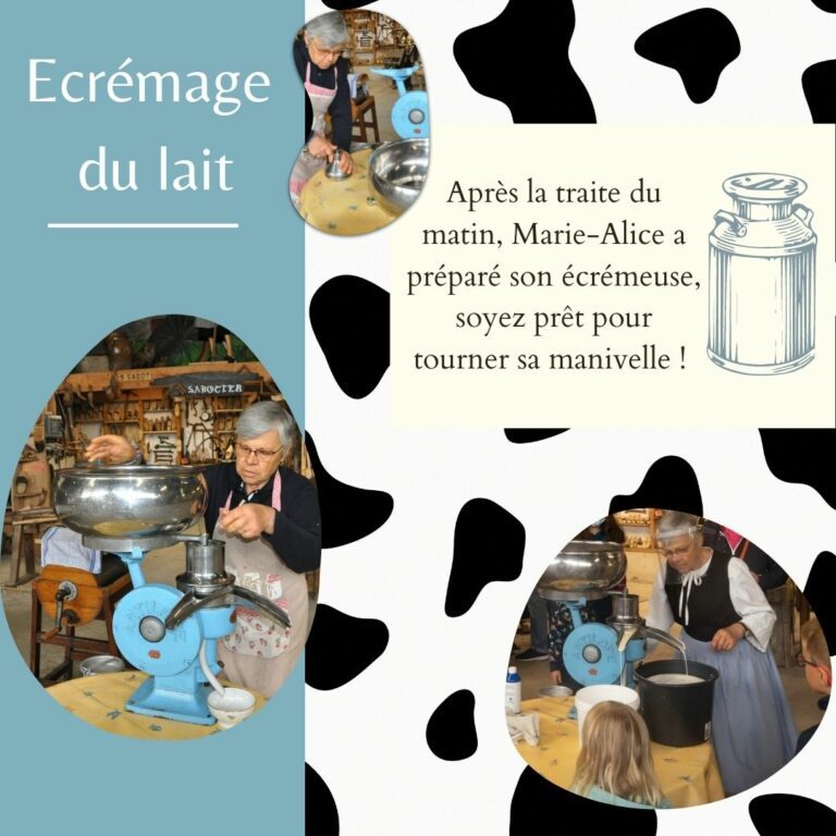 Ecremage du lait 2