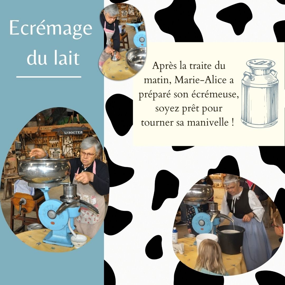 Ecremage du lait 2