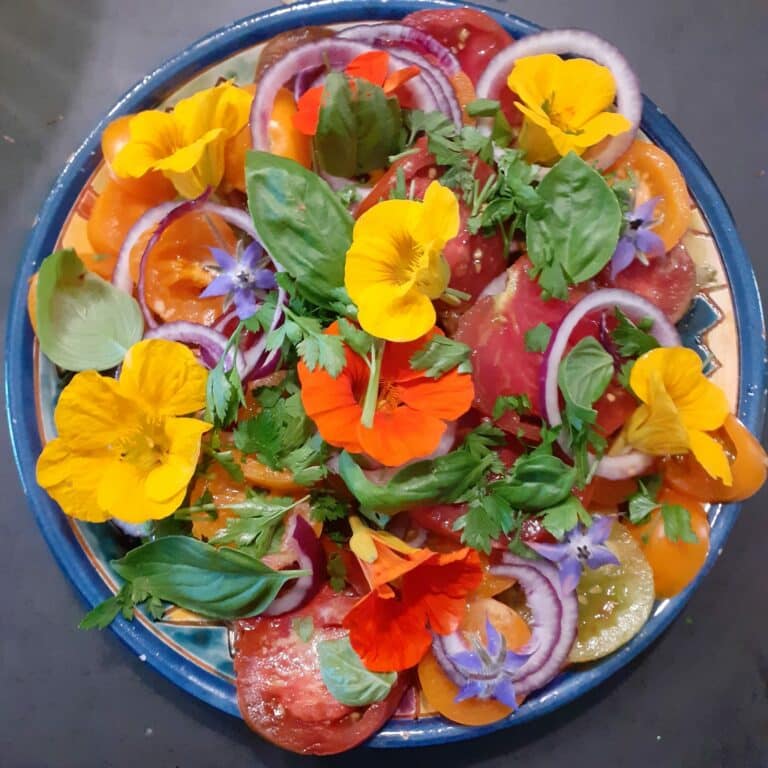 FLEURS COMESTIBLES HERBES TOMATES LINTEVER