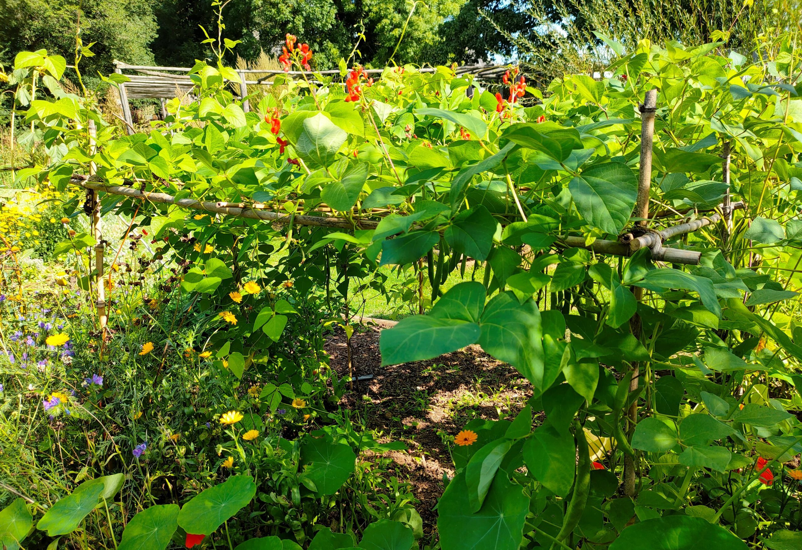 Fabrique du potager Abbaye Relec