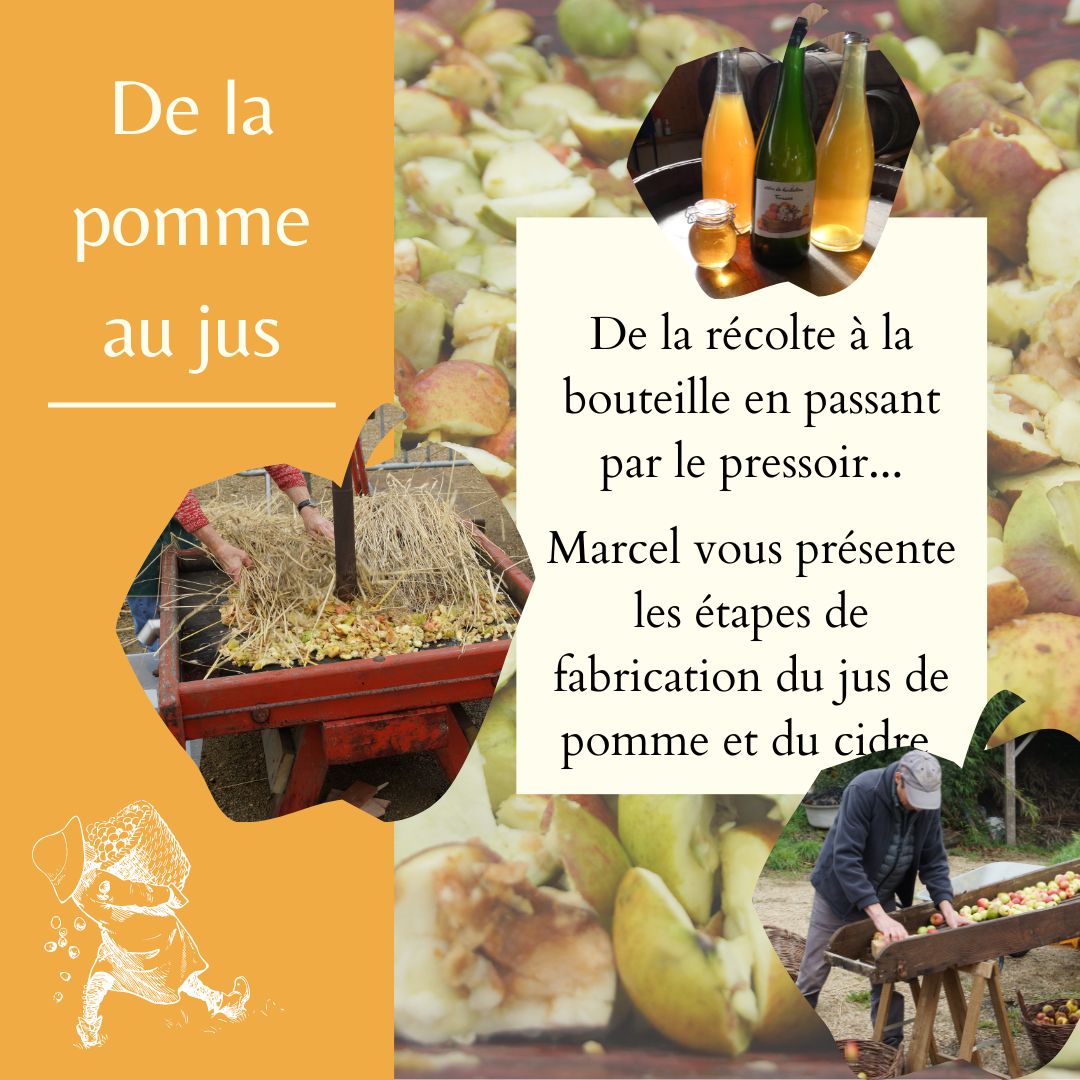 Jus de pomme