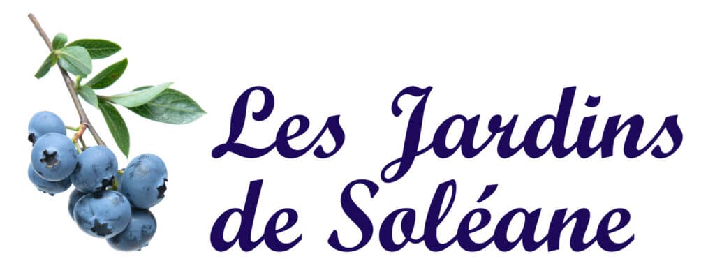 Logo 2 1