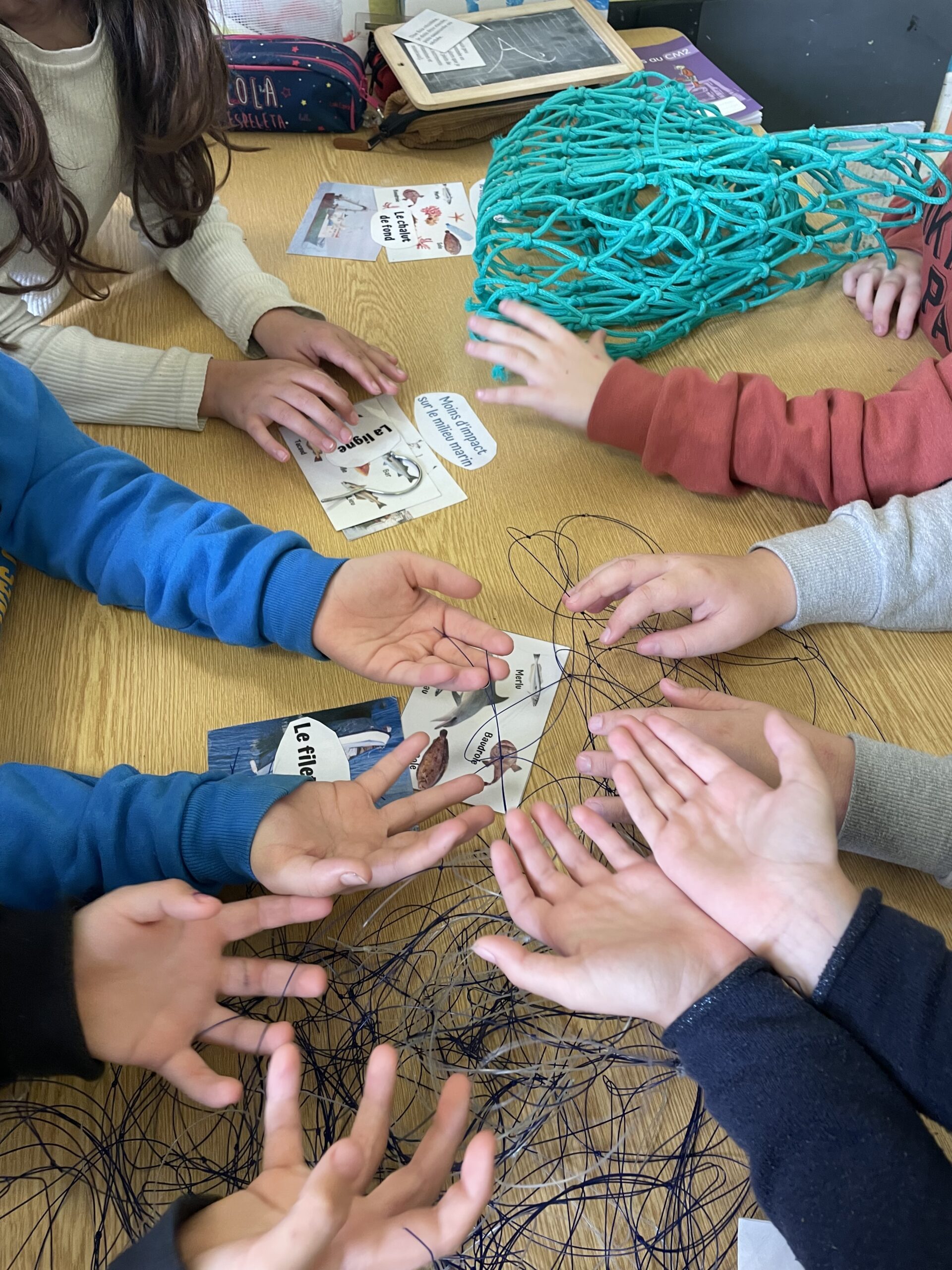 atelier scolaire mer