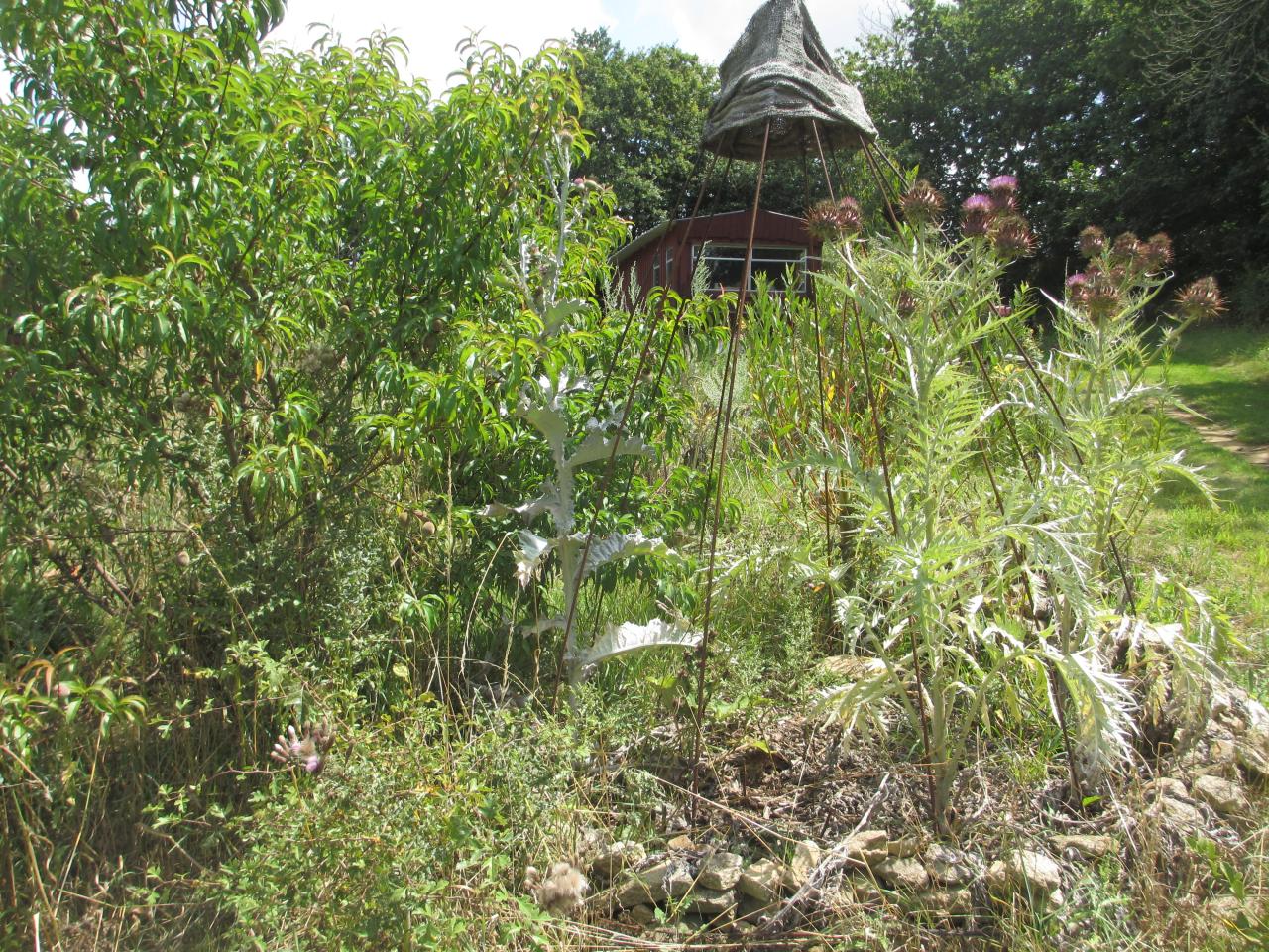 jardin de l'entreprise aussi sec