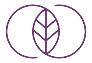 logo violet