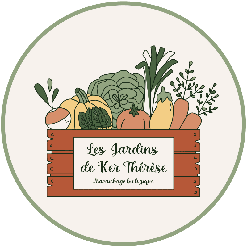 logo JDKT (1)
